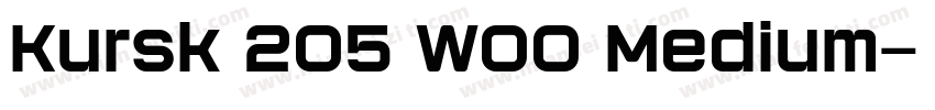 Kursk 205 W00 Medium字体转换